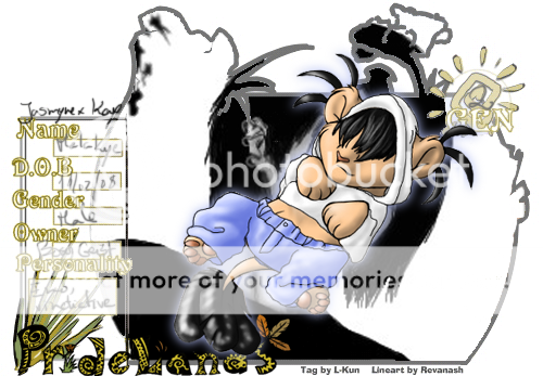 User Image